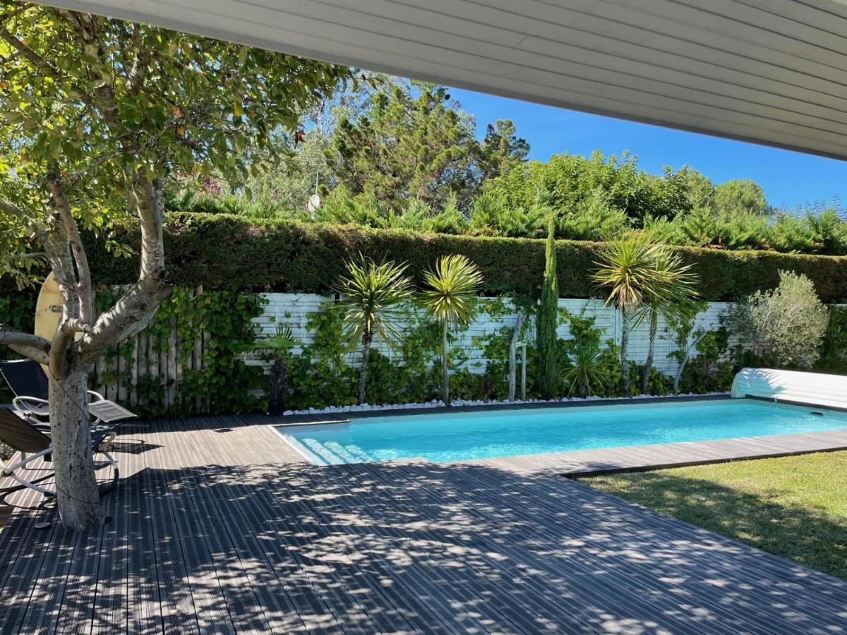 Villa Hossegor 索尔特奥瑟戈尔 外观 照片